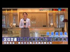 壹号视频,揭秘热门话题背后的真相与观点