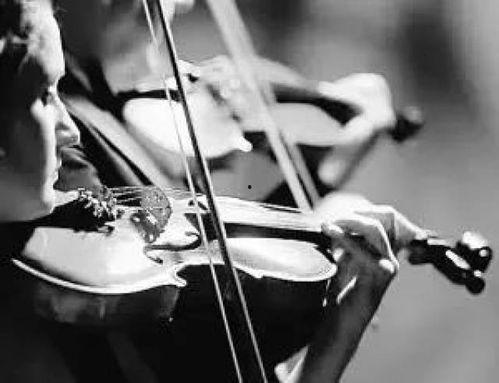 小提琴顿弓视频,视频教学解析