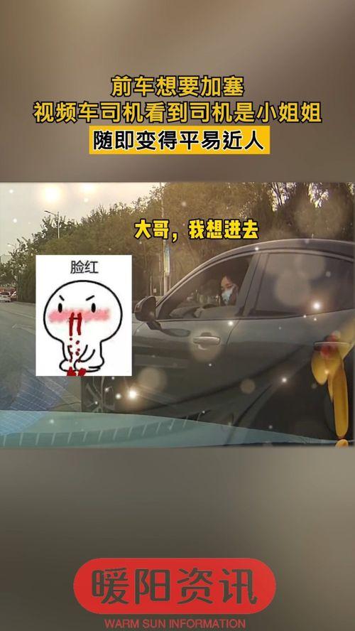 小车子视频,探秘现代城市出行新风尚