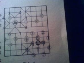 教下象棋视频,跟随视频轻松掌握棋艺精髓