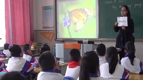 小学英语优秀课视频,精彩教学瞬间回顾