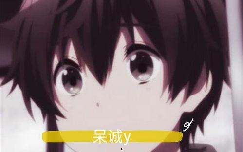 帝鳄视频,揭秘神秘帝鳄生态，探寻自然奇观