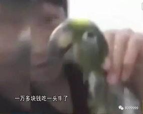 闷刑的视频,残酷历史与人性拷问的视觉冲击